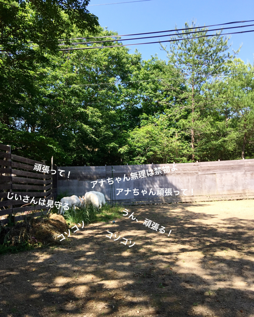 f:id:reeyan:20180605122033j:plain