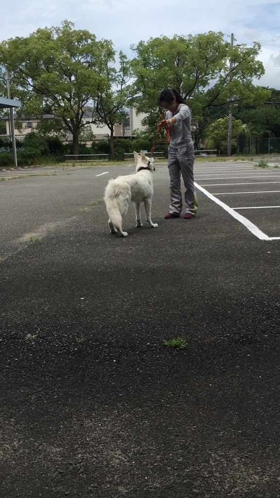 f:id:reeyan:20180627212451j:plain