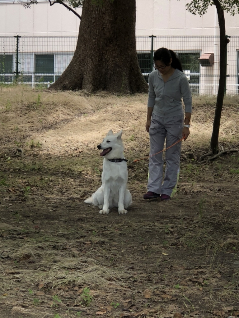 f:id:reeyan:20180627212505j:plain