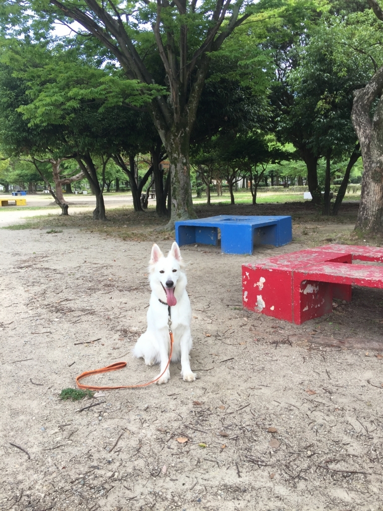 f:id:reeyan:20180627233354j:plain