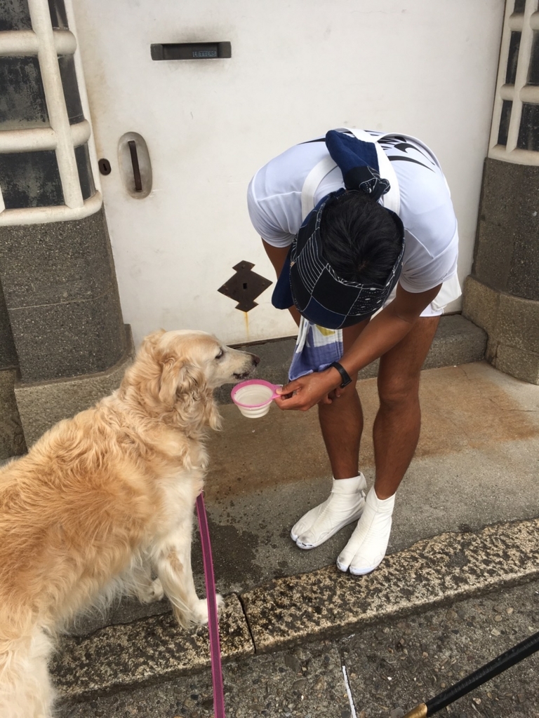 f:id:reeyan:20180706083525j:plain