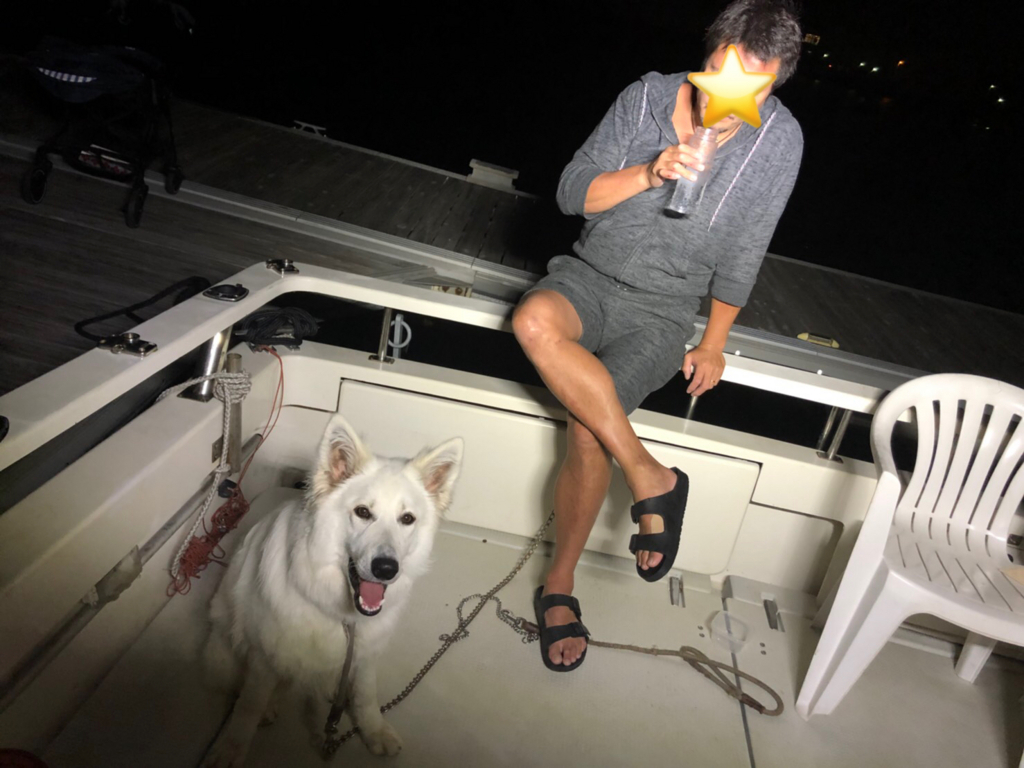 f:id:reeyan:20180715111529j:plain f:id:reeyan:20180715111529j:plain