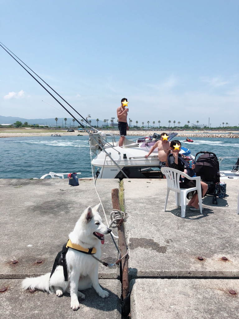 f:id:reeyan:20180715111537j:plain f:id:reeyan:20180715111537j:plain