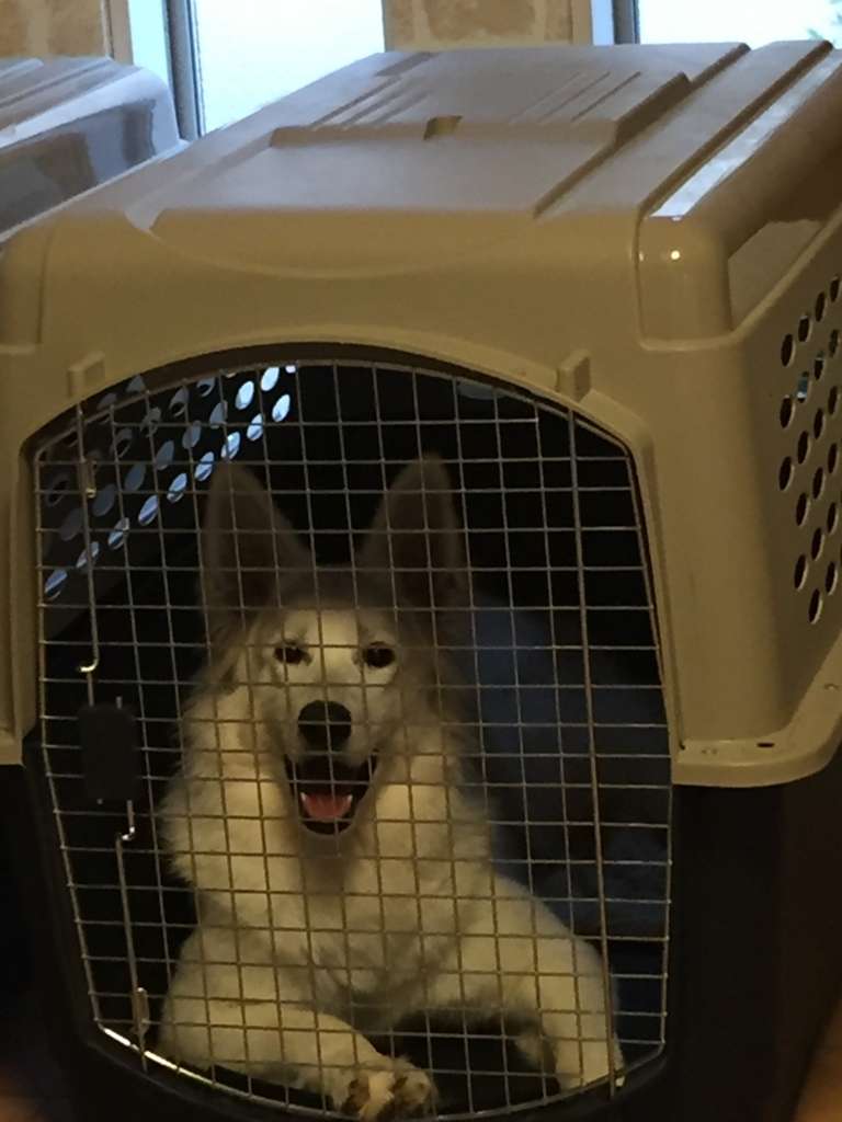 f:id:reeyan:20180723232450j:plain