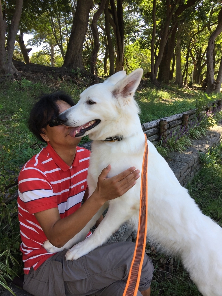 f:id:reeyan:20180930125918j:plain f:id:reeyan:20180930125918j:plain