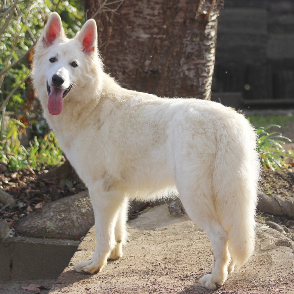 f:id:reeyan:20190111094405j:plain