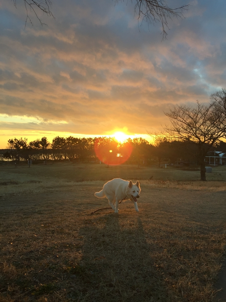 f:id:reeyan:20190211173922j:plain f:id:reeyan:20190211173922j:plain