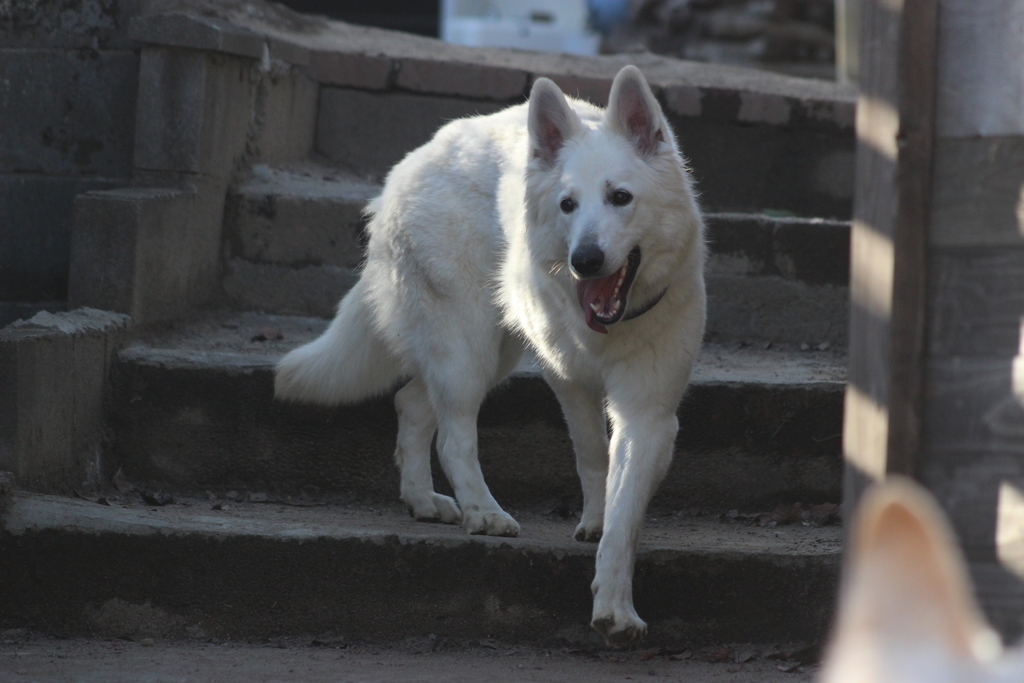 f:id:reeyan:20190213103108j:plain