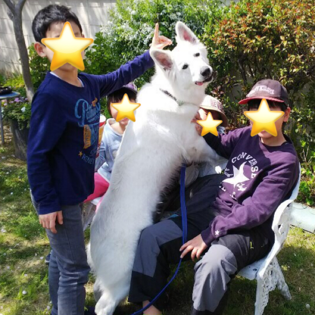 f:id:reeyan:20190410103432j:plain f:id:reeyan:20190410103432j:plain