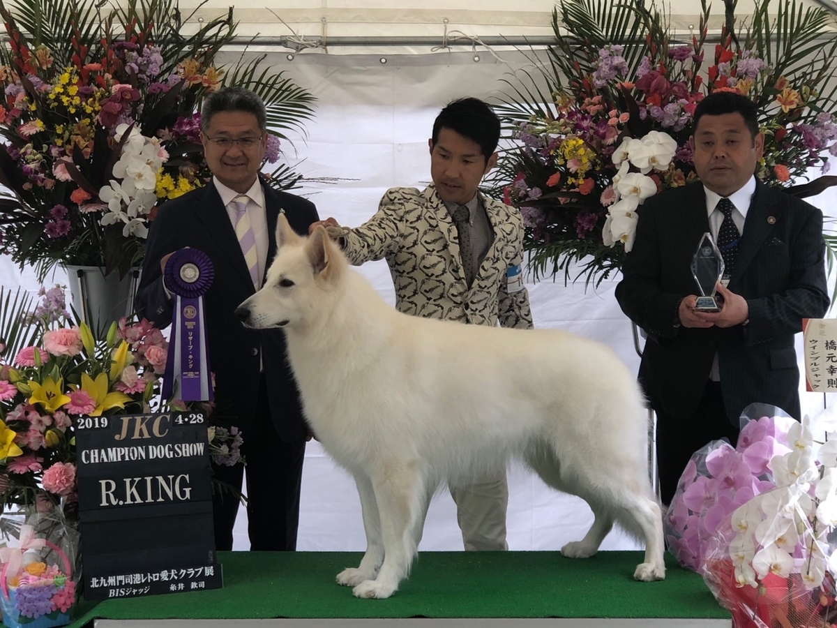 f:id:reeyan:20190429233054j:plain