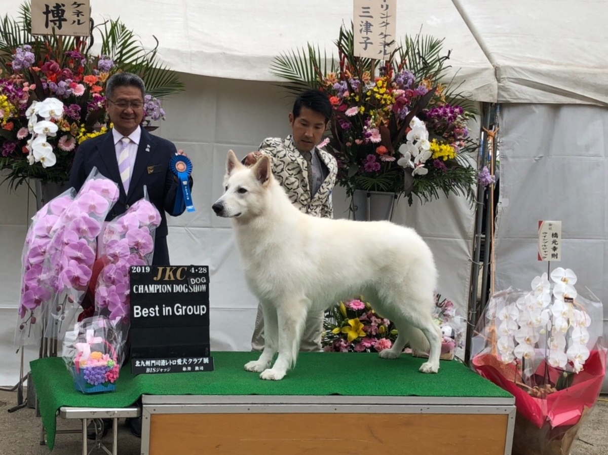 f:id:reeyan:20190429233301j:plain