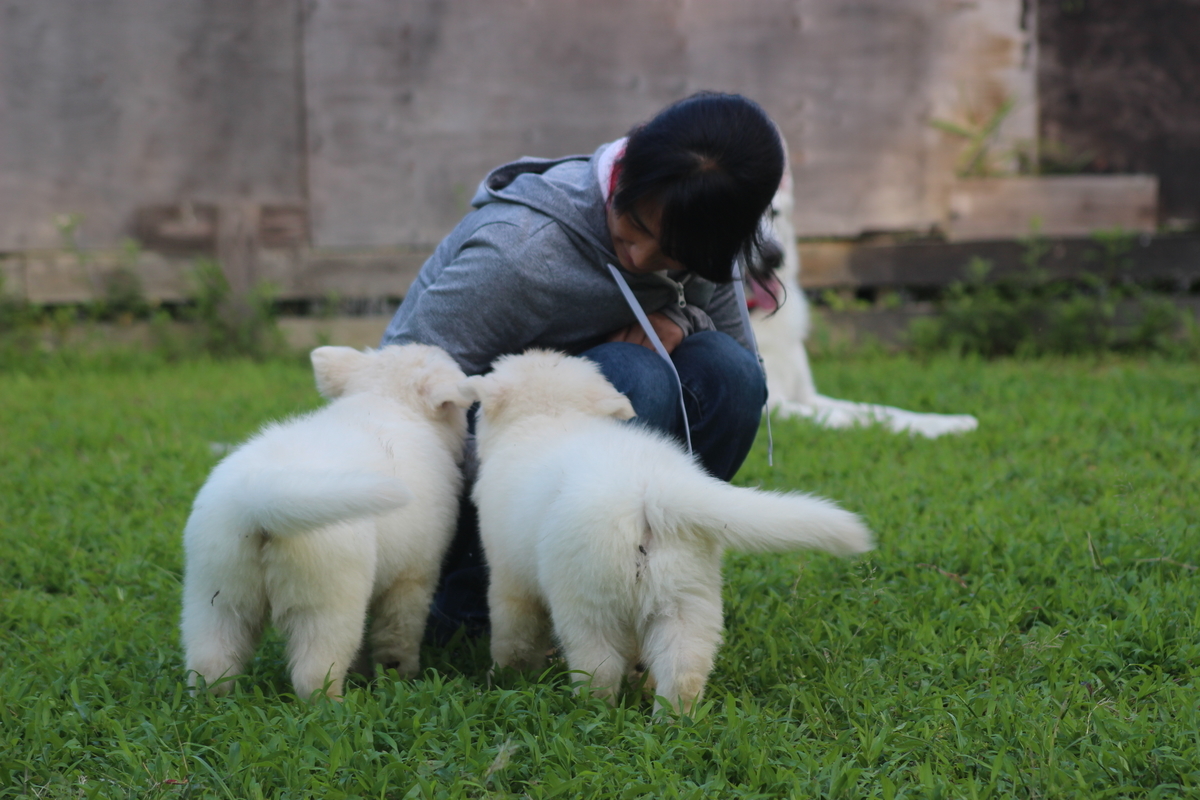 f:id:reeyan:20190712135305j:plain