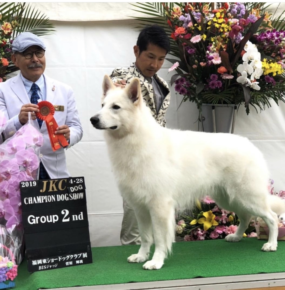 f:id:reeyan:20190906134116j:plain