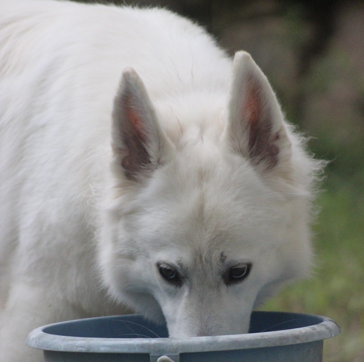 f:id:reeyan:20210919154742j:plain