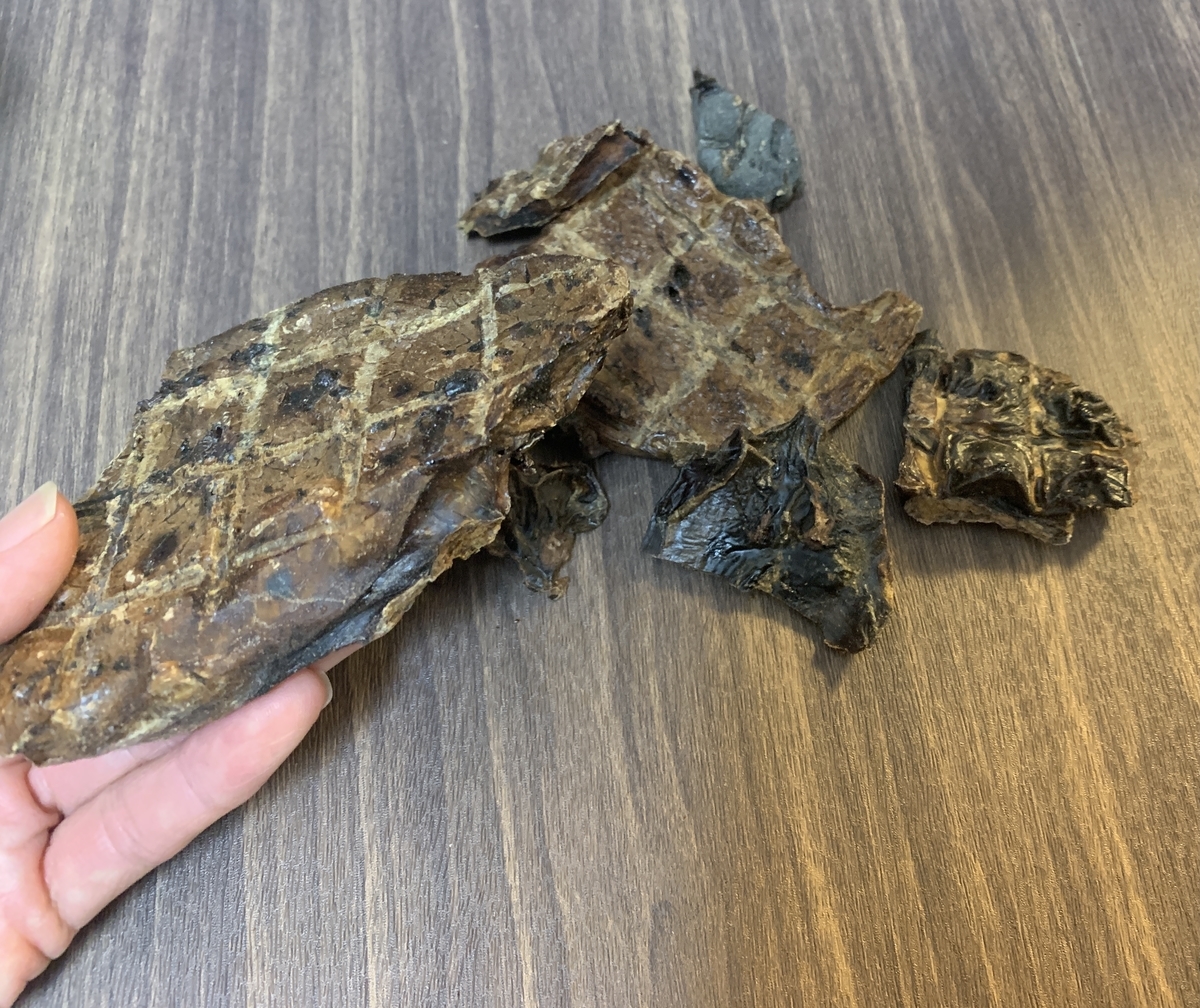 f:id:reeyan:20210919155122j:plain