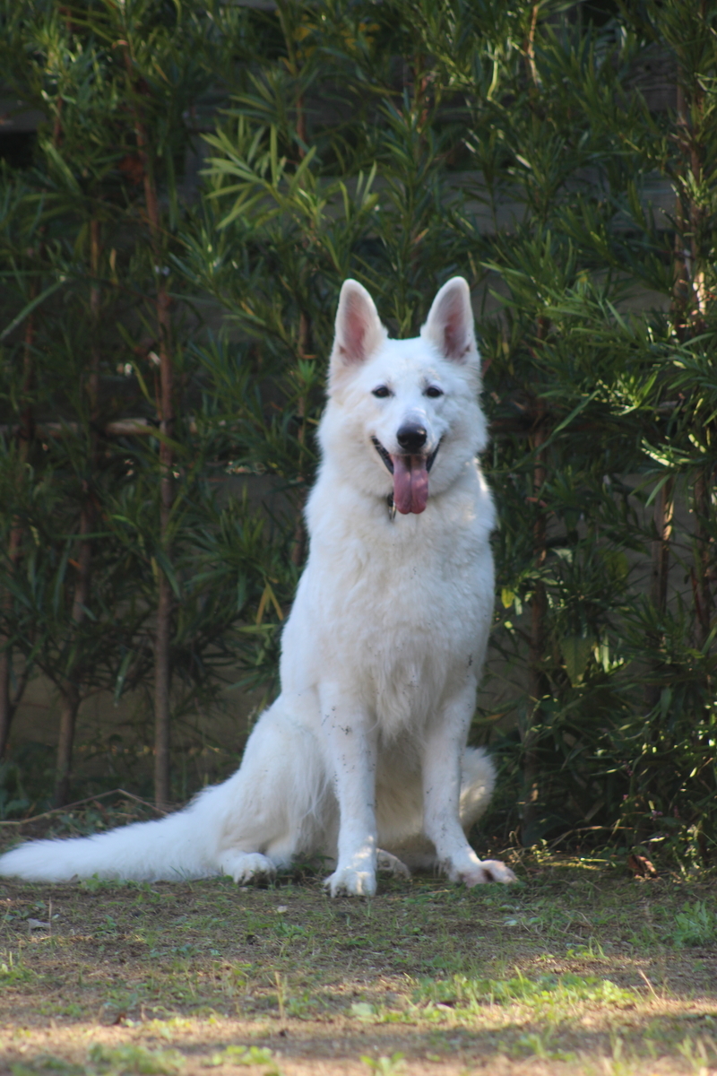 f:id:reeyan:20211019231156j:plain