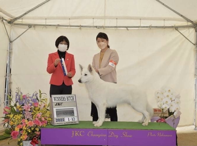 f:id:reeyan:20220113003236j:plain