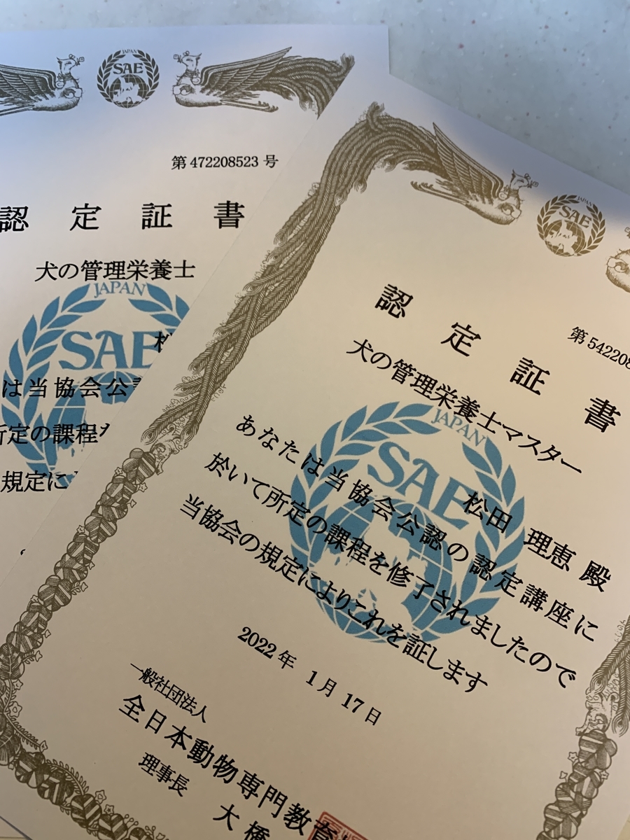 f:id:reeyan:20220119170344j:plain