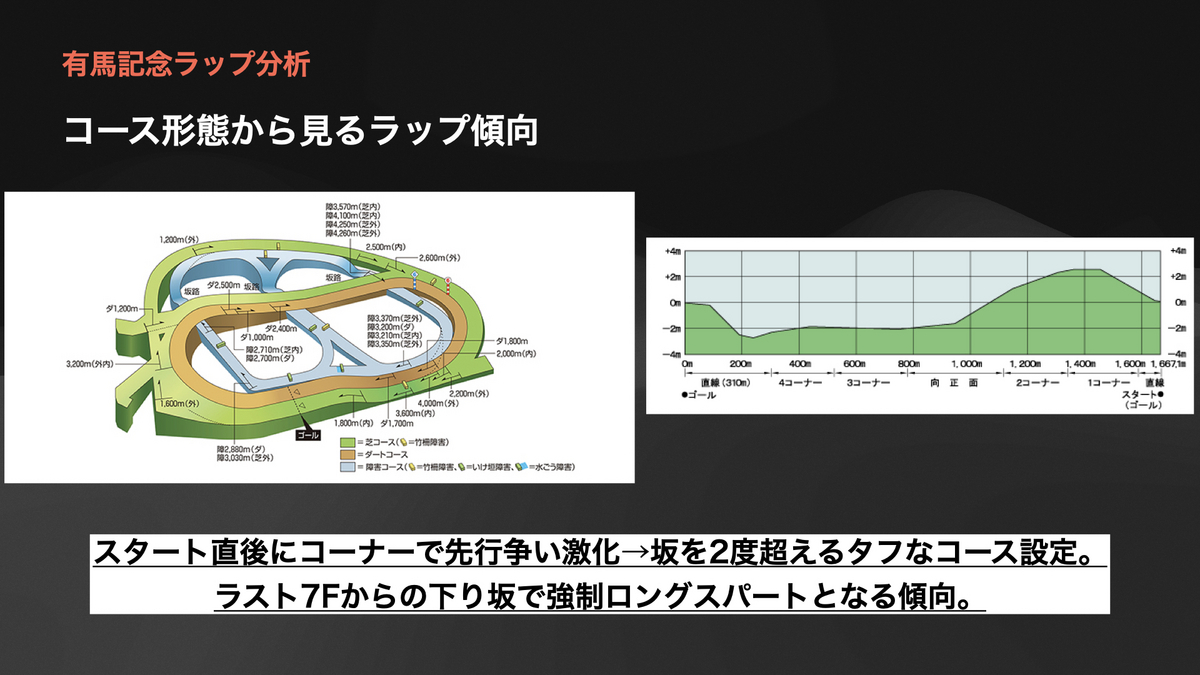 有馬 記念 コース