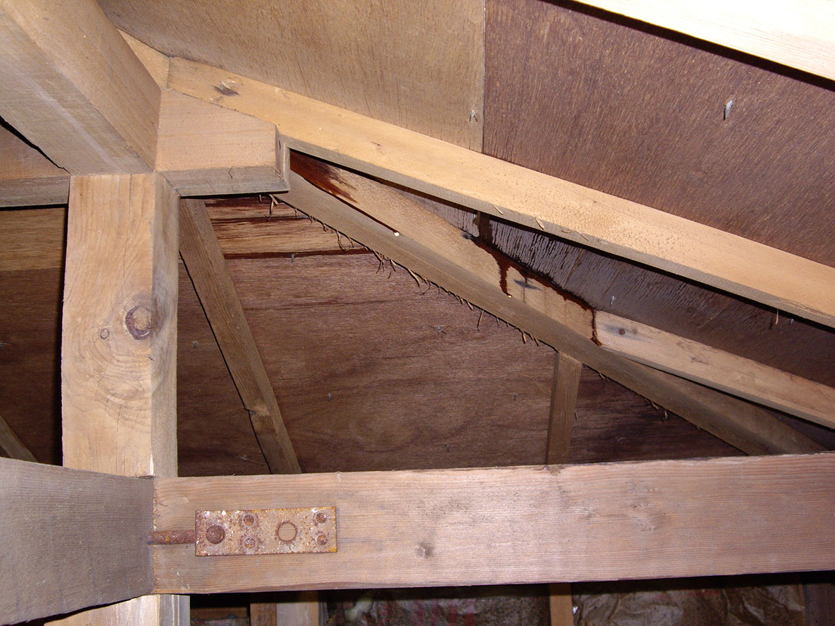 屋根裏に雨染みがついている写真