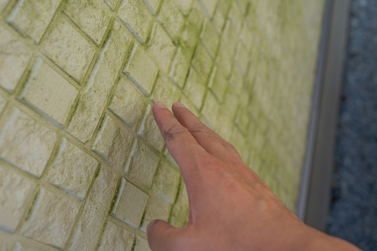 壁を点検中の写真