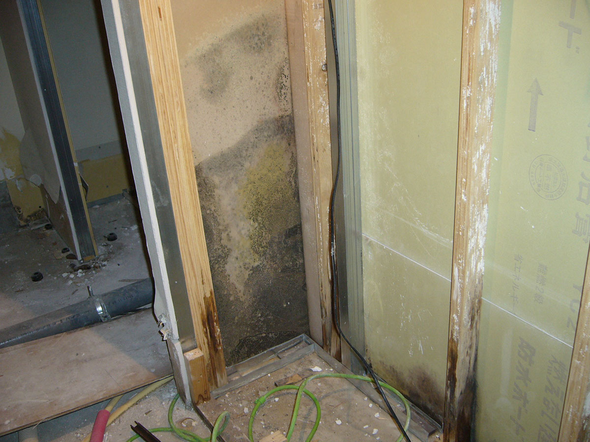 マンションの水漏れで壁を剥がしたら内装材がカビていた画像