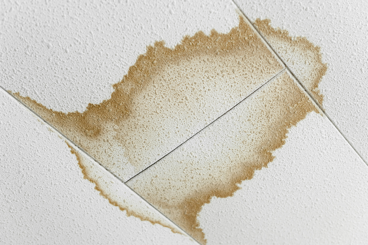 天井のシミのイメージ