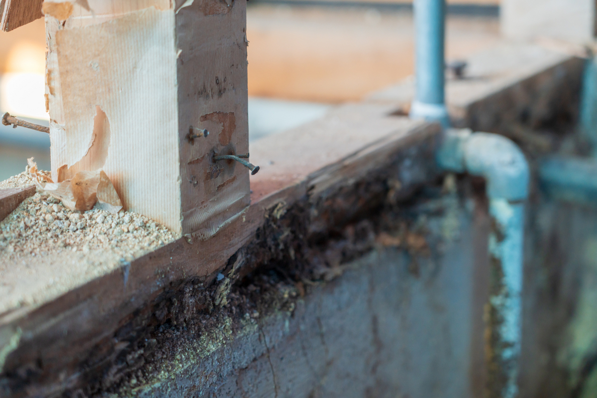 腐食した木材のイメージ
