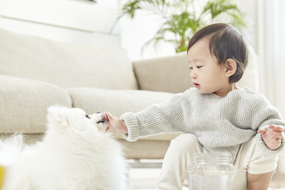 子犬と遊ぶ子どものイメージ