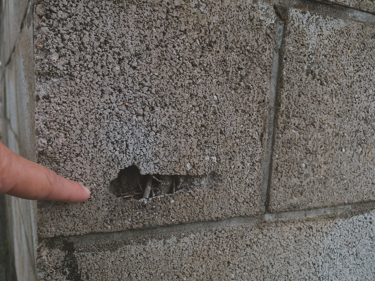 劣化して欠損ができたブロック塀の写真