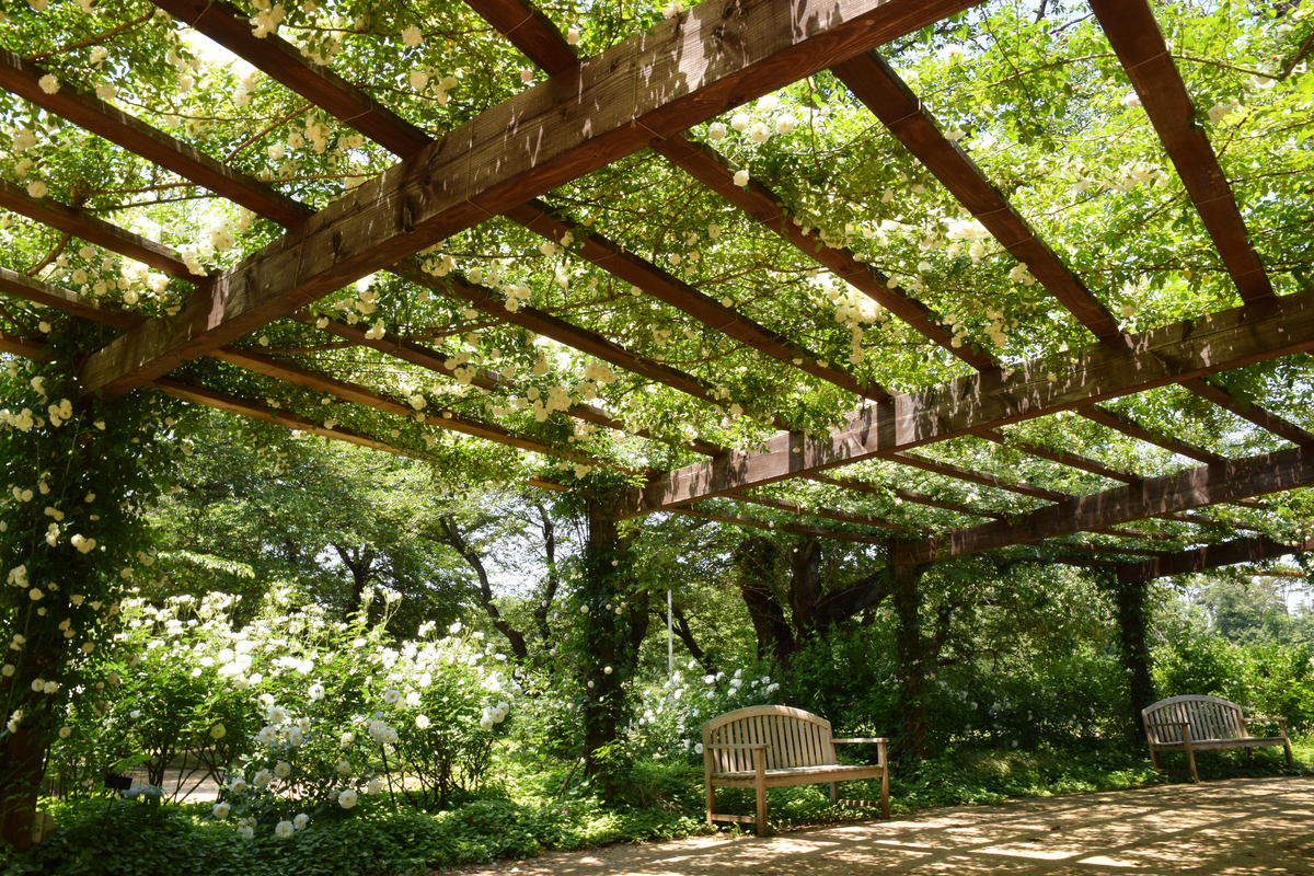 木漏れ日のベンチのイメージ