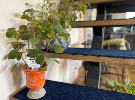 階段にカーペットを張った事例の写真