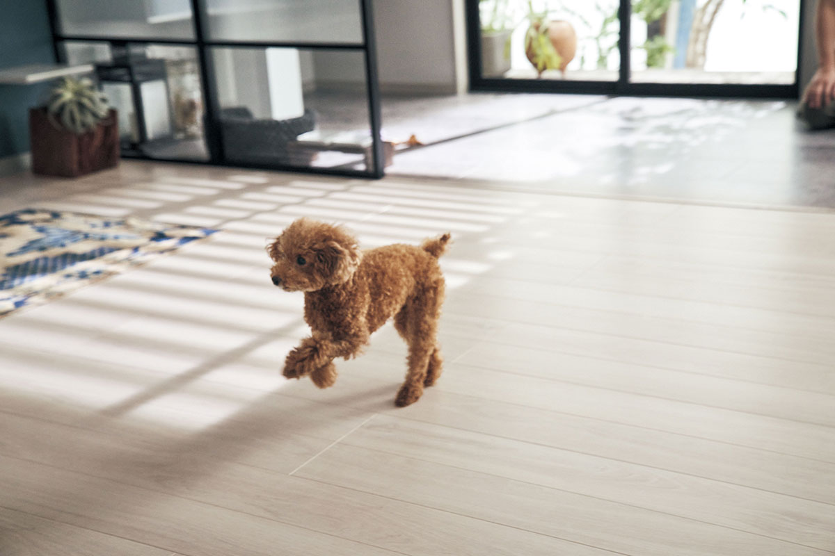 ベリティスフロアー わんにゃんSmile