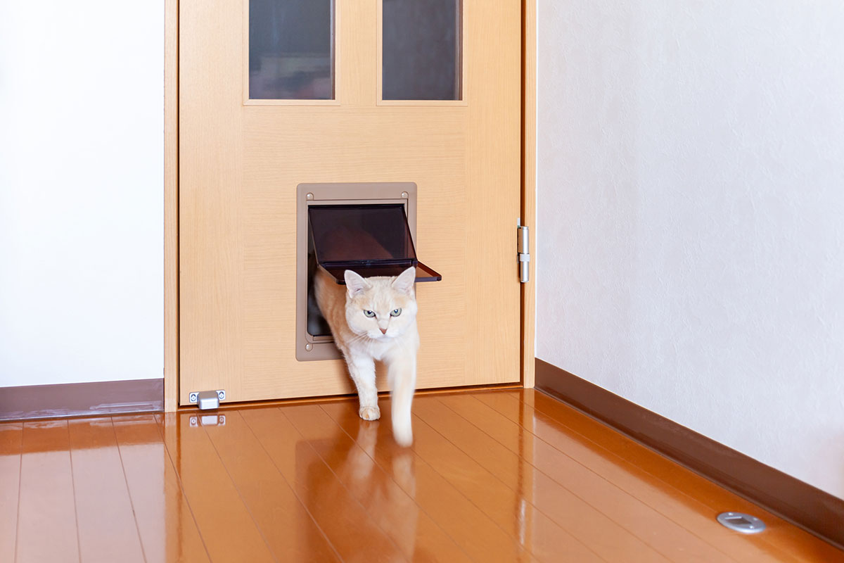 &atilde;&atilde;&atilde;&aring;&deg;&ccedil;&uml;&atilde;&atilde;&cent;&atilde;&eacute;&atilde;&aelig;&atilde;&atilde;&ccedil;&laquo;