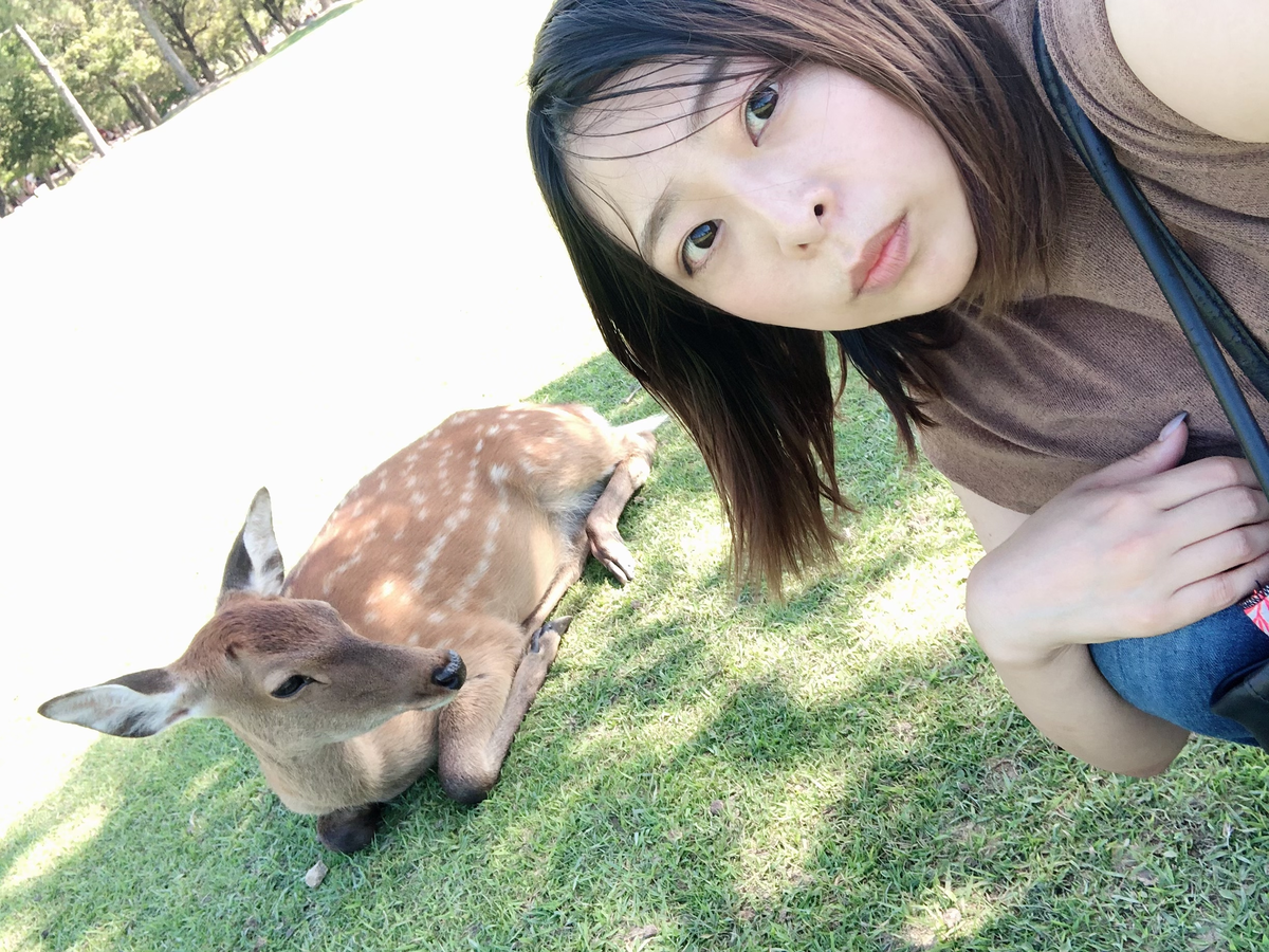 f:id:reframelab:20190927230030p:plain