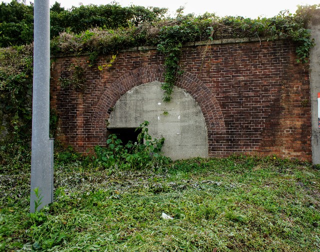 f:id:regenerationderhydra:20181013040129j:image f:id:regenerationderhydra:20181013040129j:image