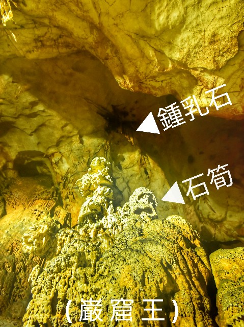 f:id:regenerationderhydra:20190314202757j:image