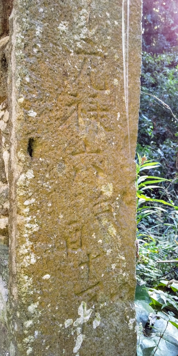 f:id:regenerationderhydra:20191102180039j:plain