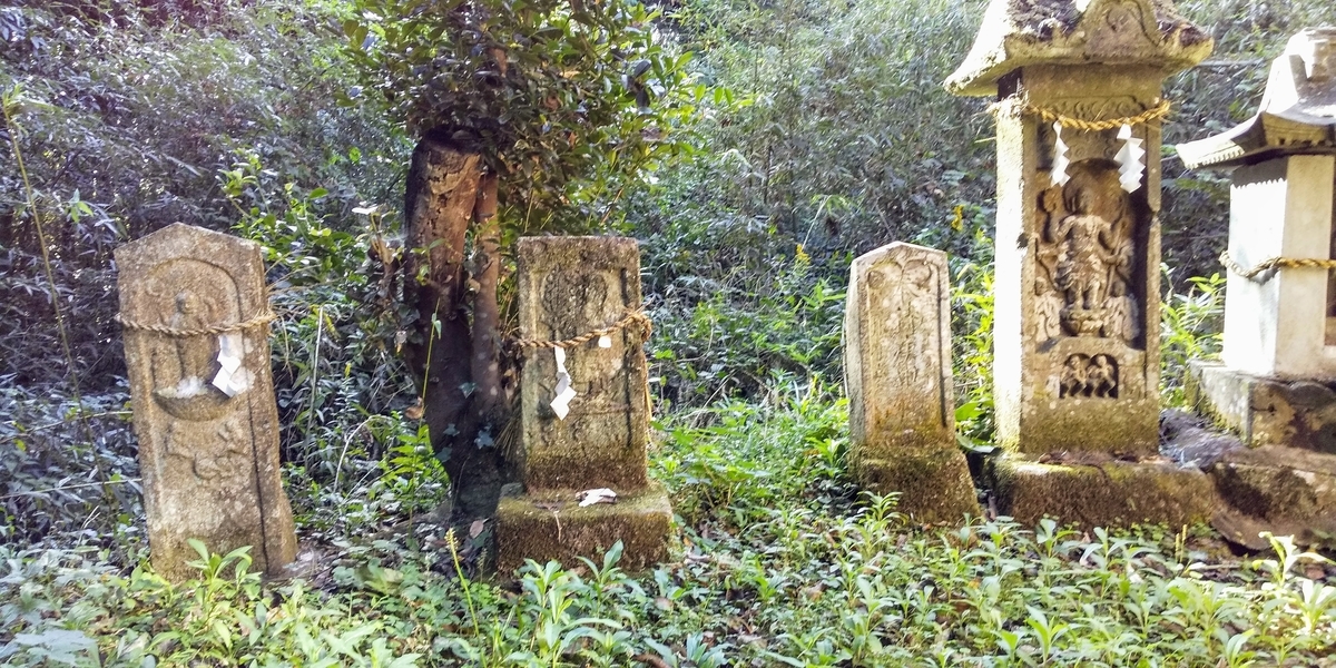 f:id:regenerationderhydra:20191102182604j:plain