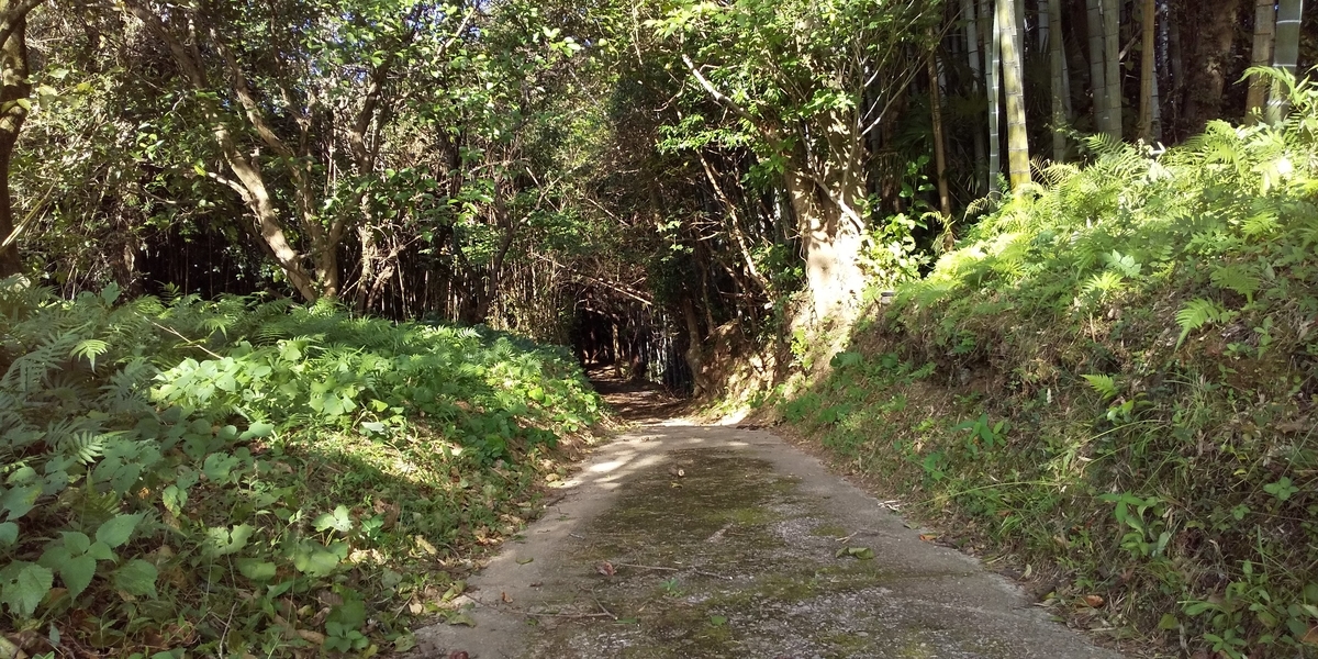 f:id:regenerationderhydra:20191102184009j:plain