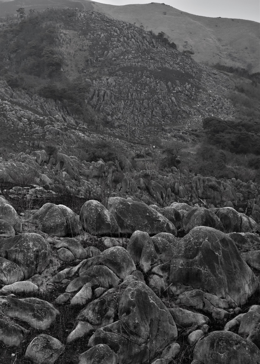 野焼き後の平尾台　福岡県北九州市小倉南区平尾台