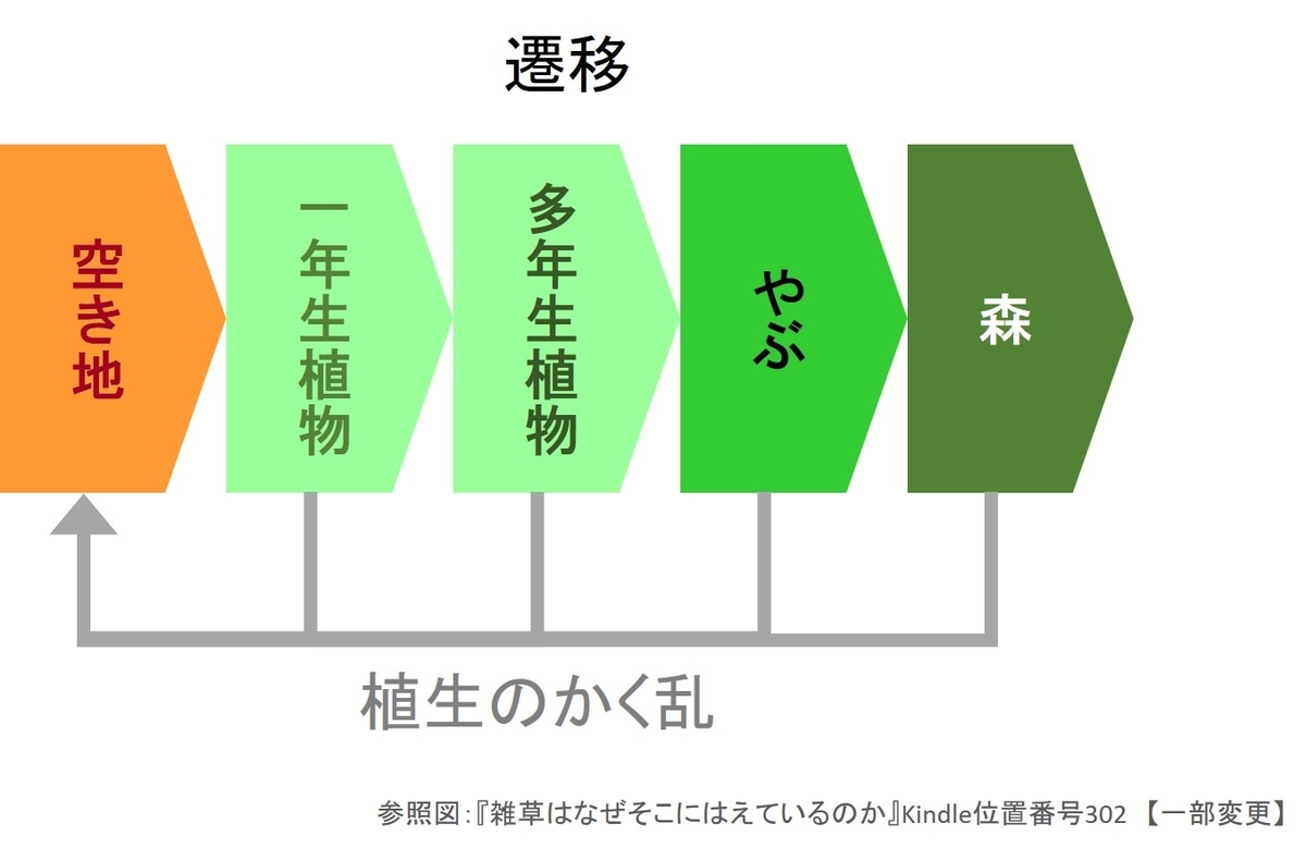 身近で起きている遷移