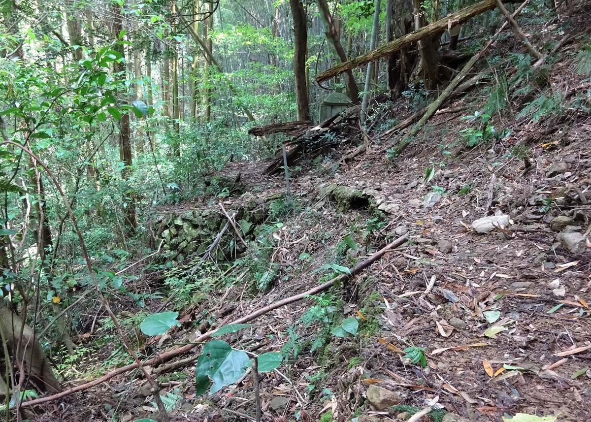 大山祇神社への参道