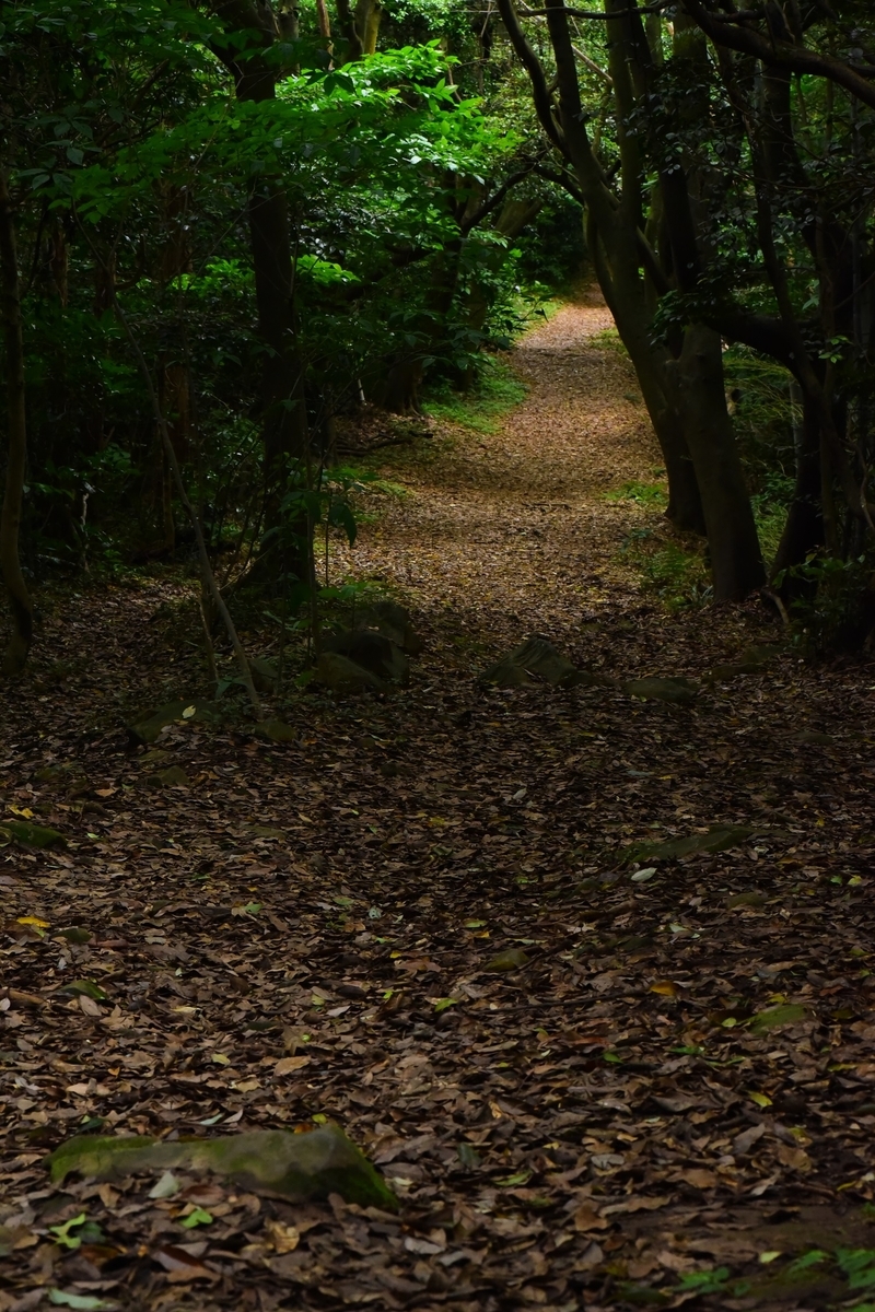 石峰山登山道