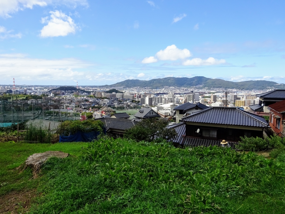 f:id:regenerationderhydra:20200913173623j:plain