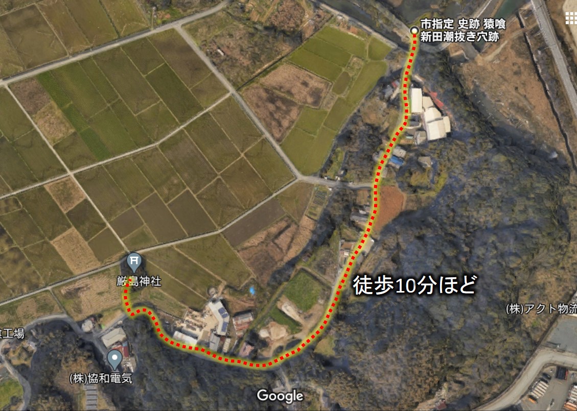 f:id:regenerationderhydra:20201124202753j:plain