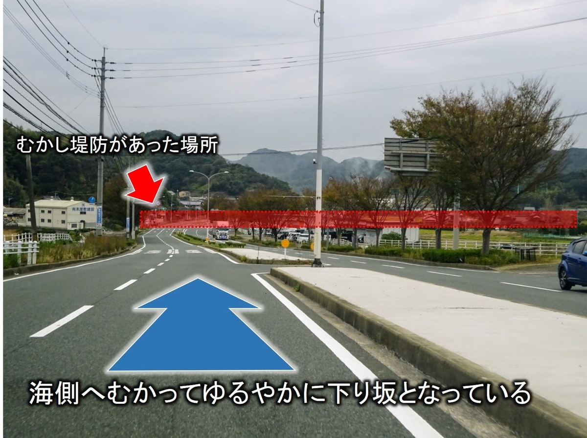 f:id:regenerationderhydra:20201125201807j:plain