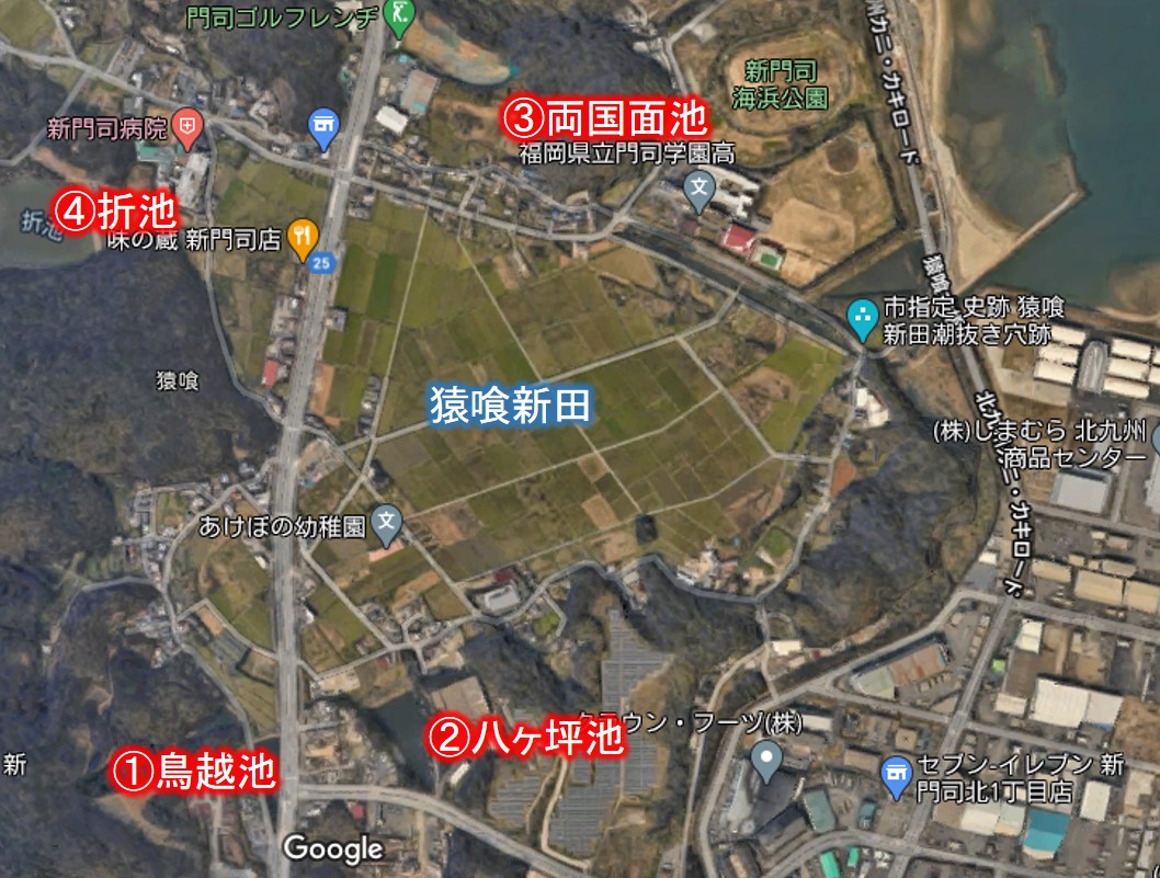 f:id:regenerationderhydra:20201125204424j:plain
