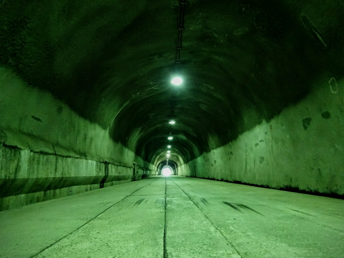 f:id:regenerationderhydra:20201126200638j:plain