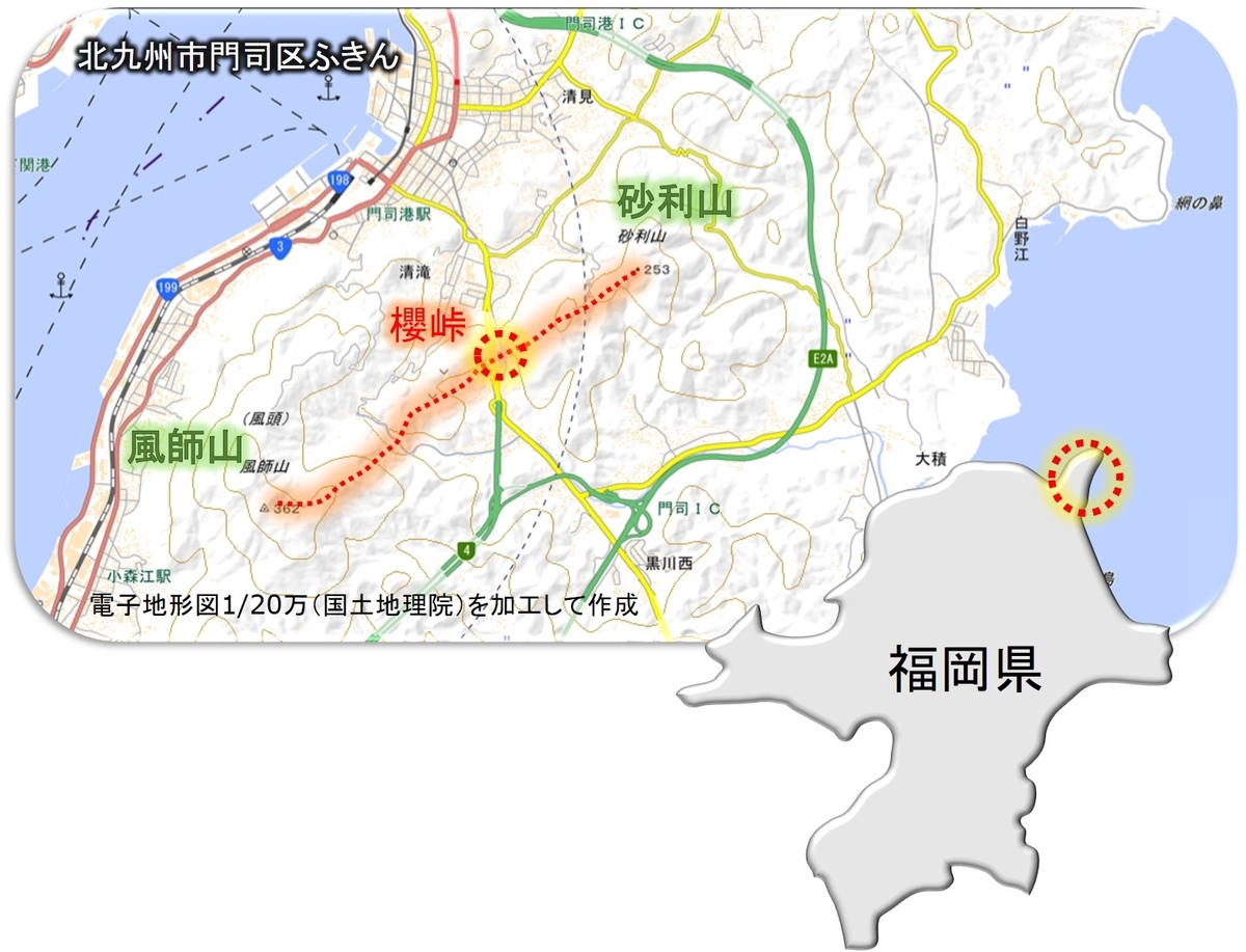 f:id:regenerationderhydra:20201128005848j:plain